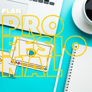 Plan Profesional