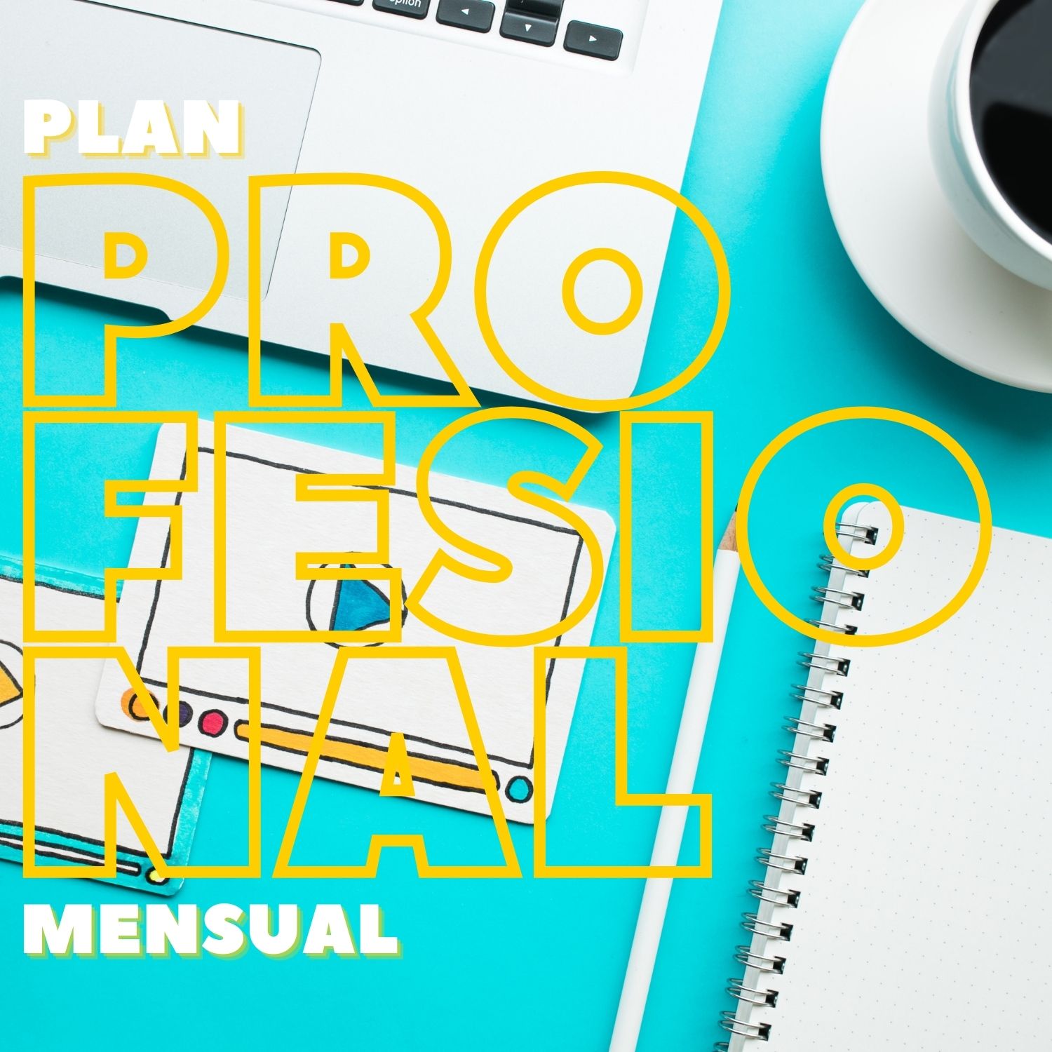Plan Profesional Mensual