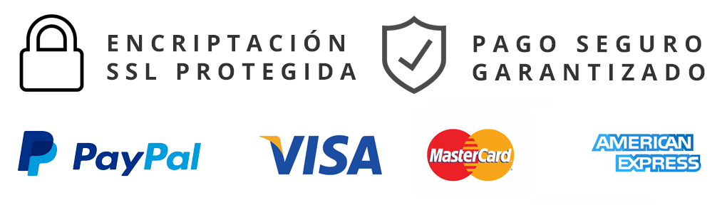 pago-seguro-1